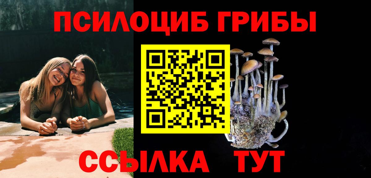 Галлюциногенные грибы GOLDEN TEACHER  Галлюциногенные грибы GOLDEN TEACHER  Ржев  Вход с VPN 